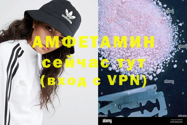 PSILOCYBIN Магас