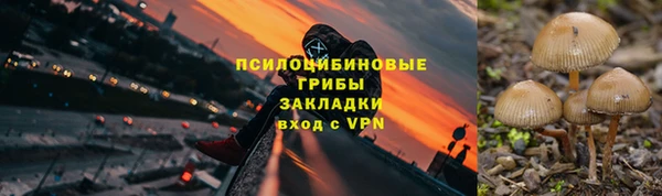 PSILOCYBIN Магас