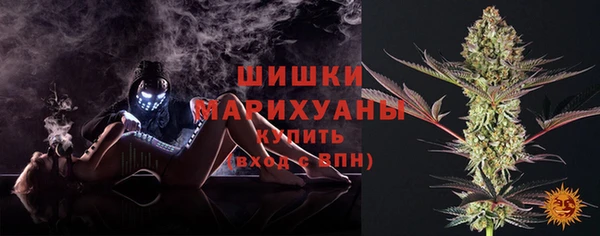 PSILOCYBIN Магас